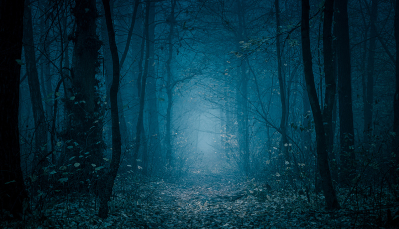 Wald Weg Düster Istock 1193906801