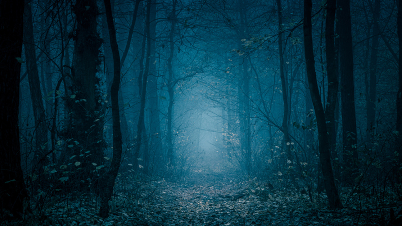 Wald Weg Düster Istock 1193906801