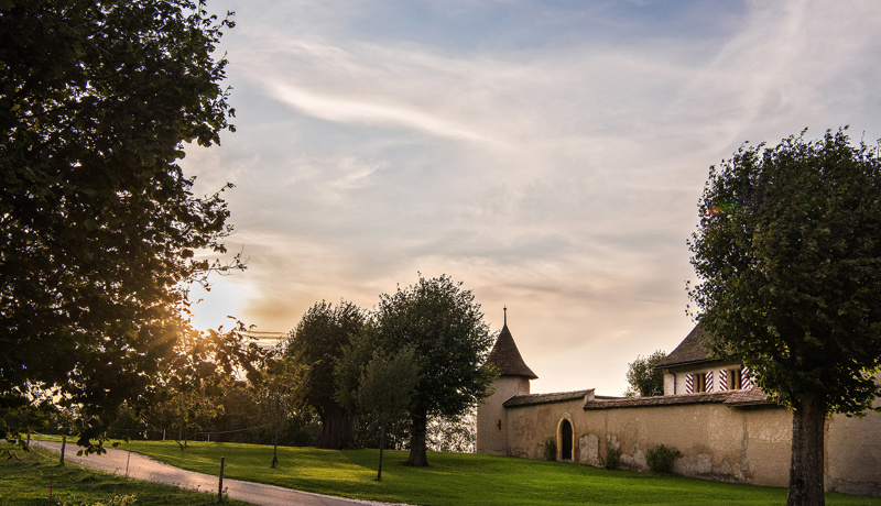 Chateau De Raymontpierre Titel Web