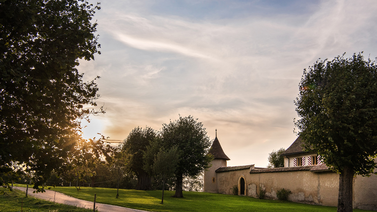 Chateau De Raymontpierre Titel Web
