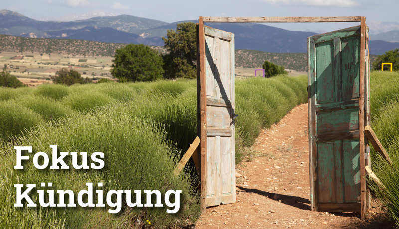 Fokus Kündigung2