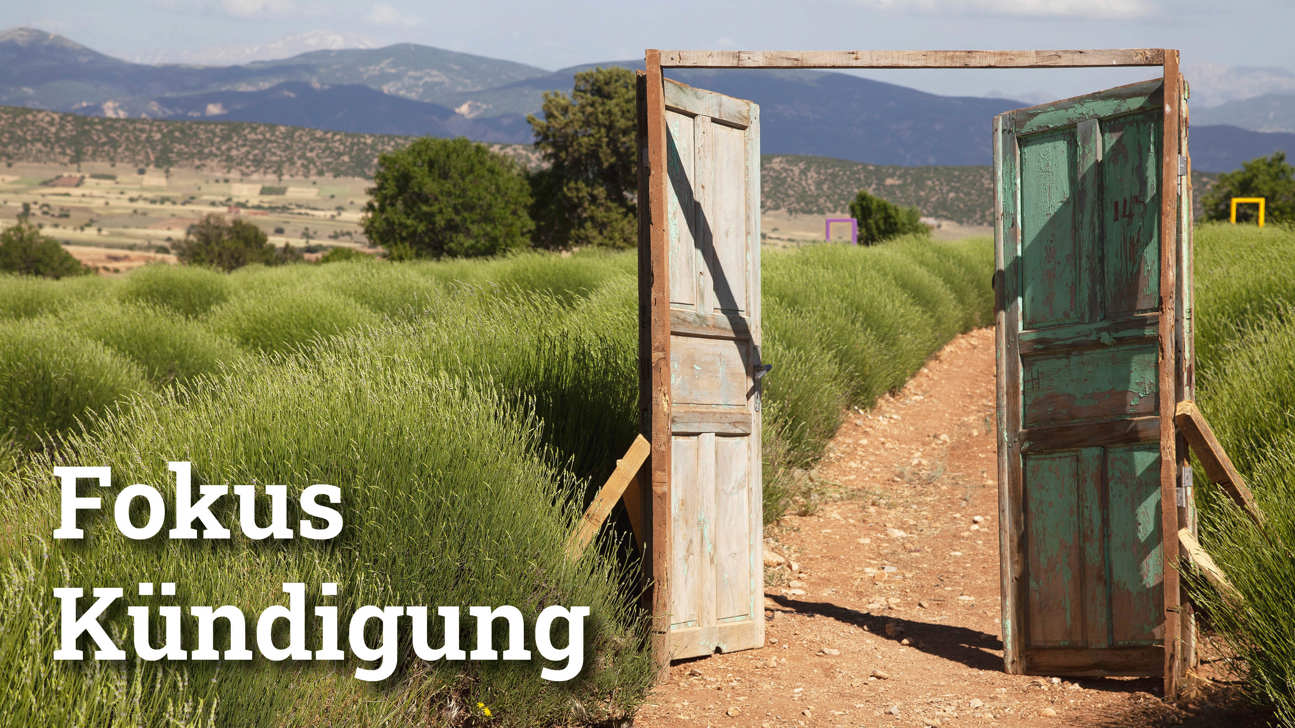 Fokus Kündigung2