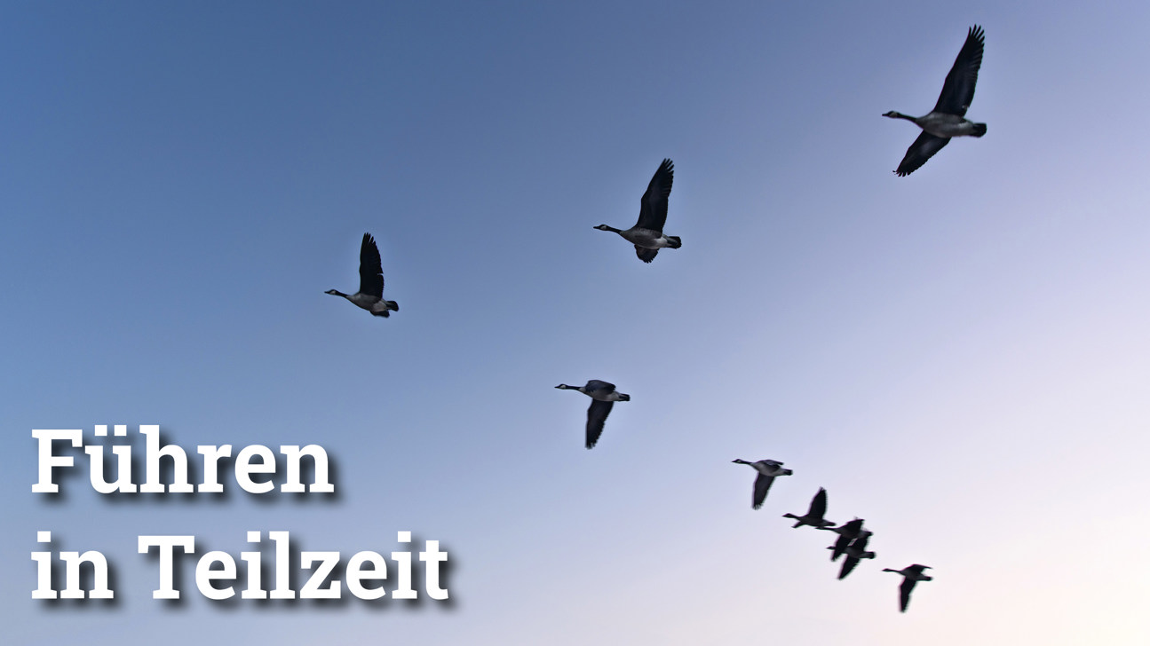 Fokus Führeninteilzeit2