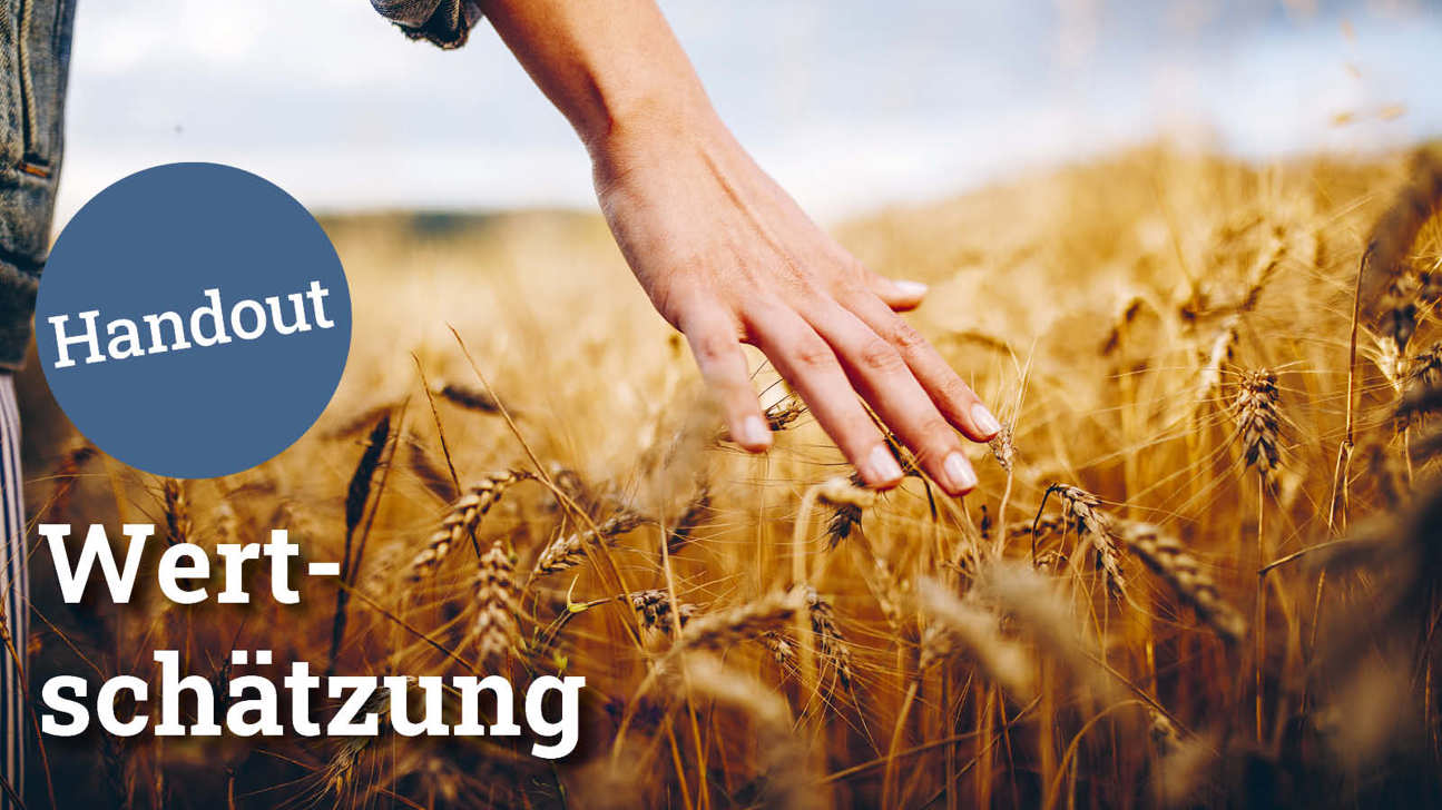 Fokus Wertschätzung5 - Handout