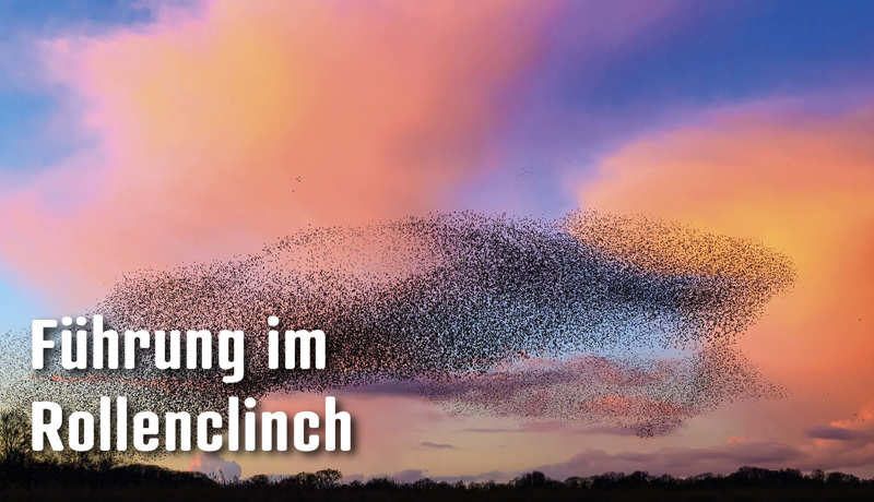 Dossier Führungimrollenclinch2