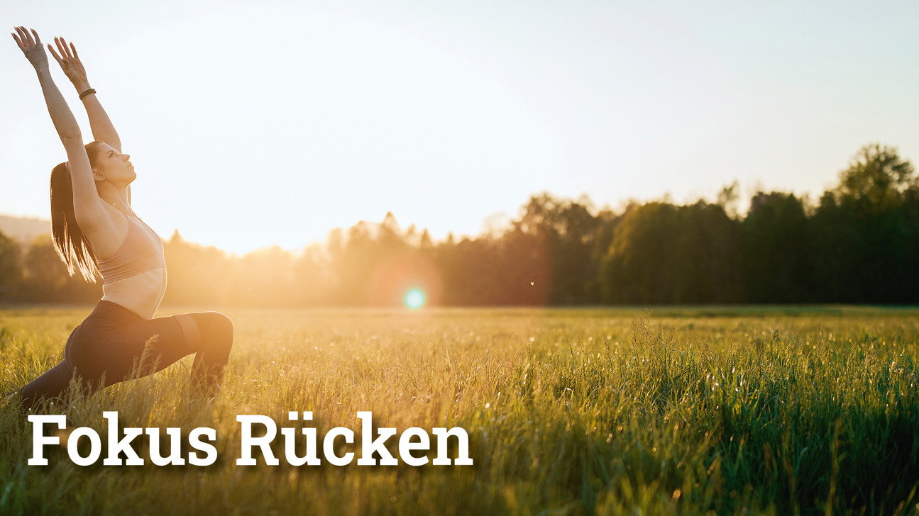 Fokus Rücken3