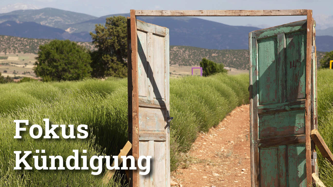 Fokus Kündigung3