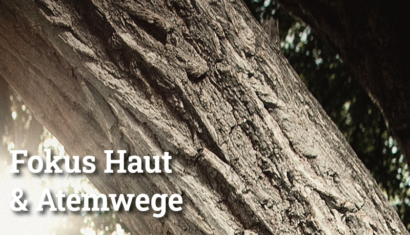 Fokus Hautatemwege5