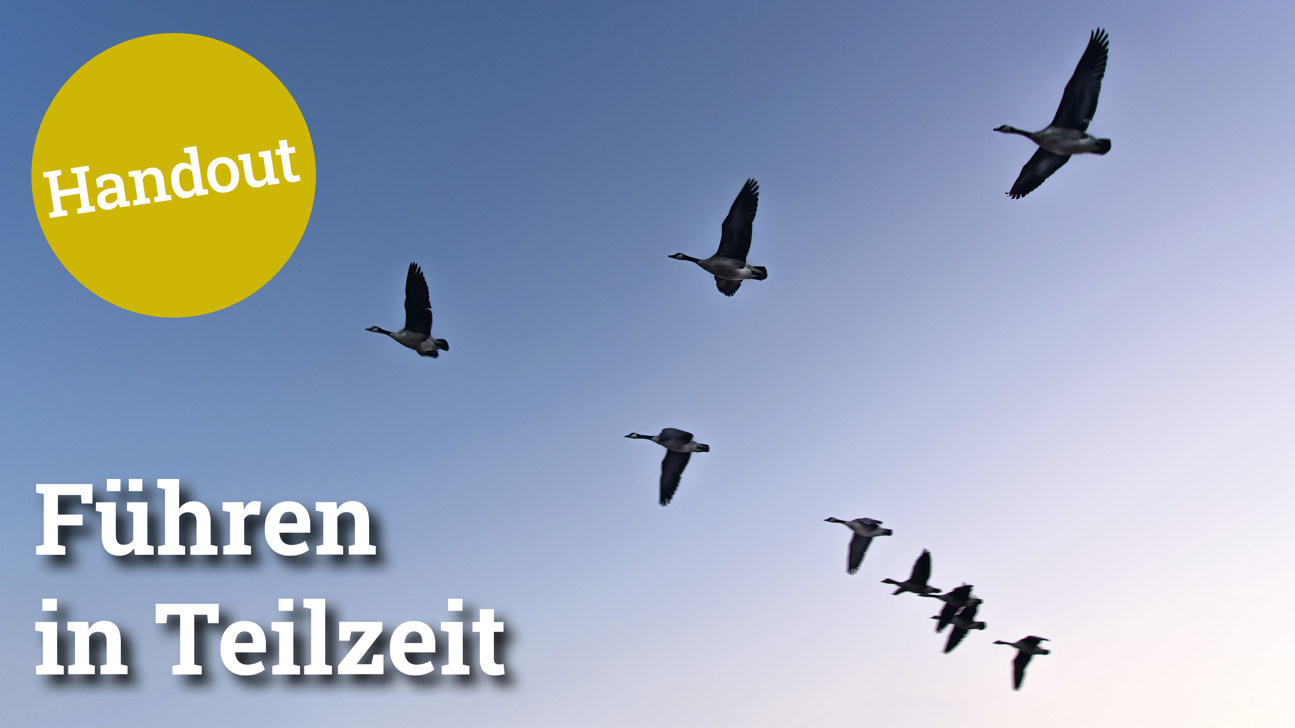 Fokus Führeninteilzeit5