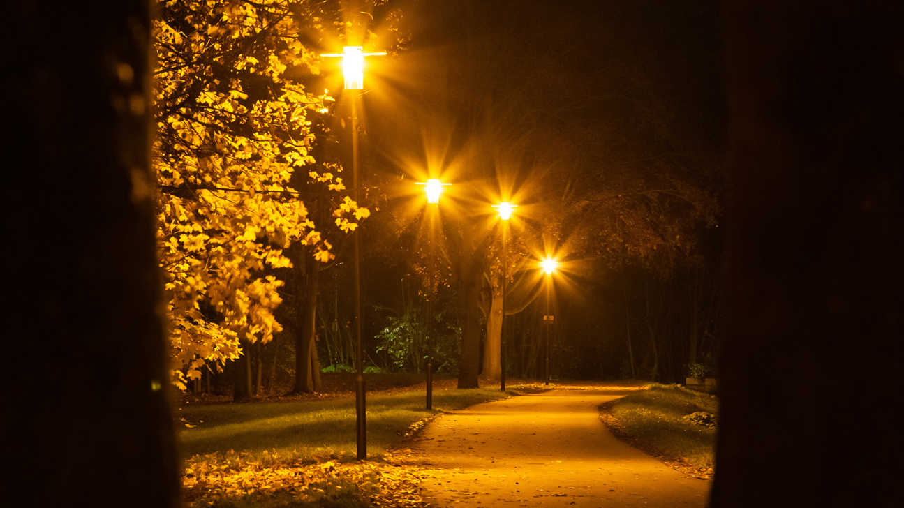 Laternen Licht Orientierung Bäume Web