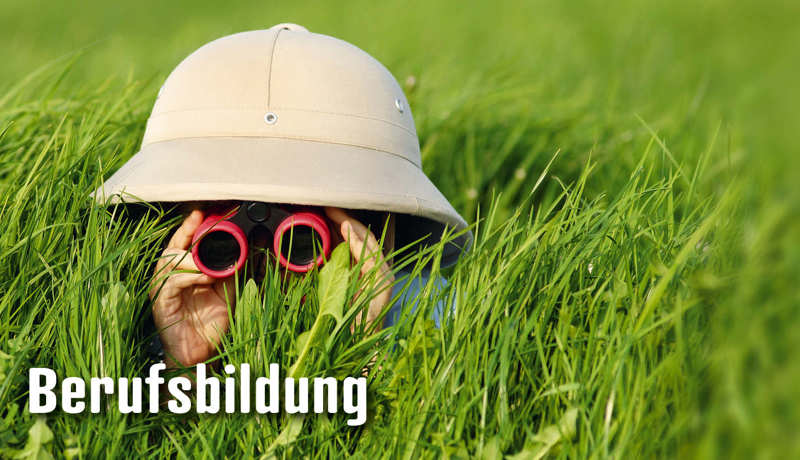 Dossier Berufsbildung4
