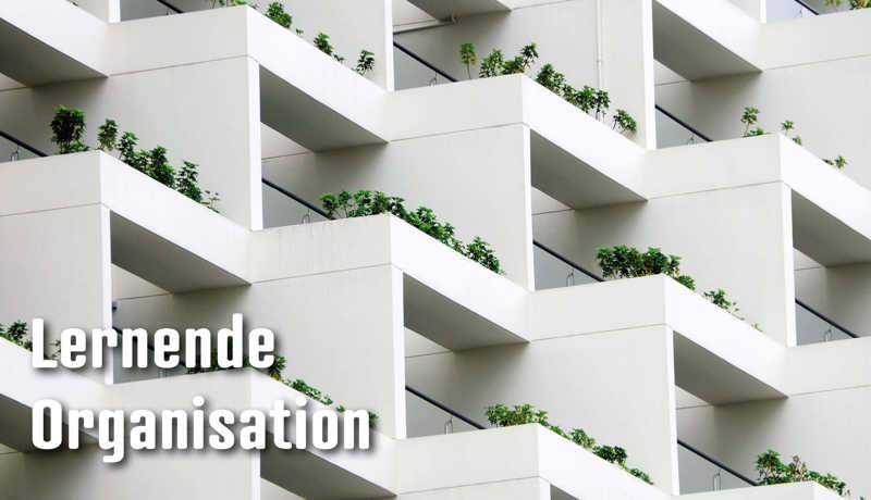 Dossier Lernendeorganisation3