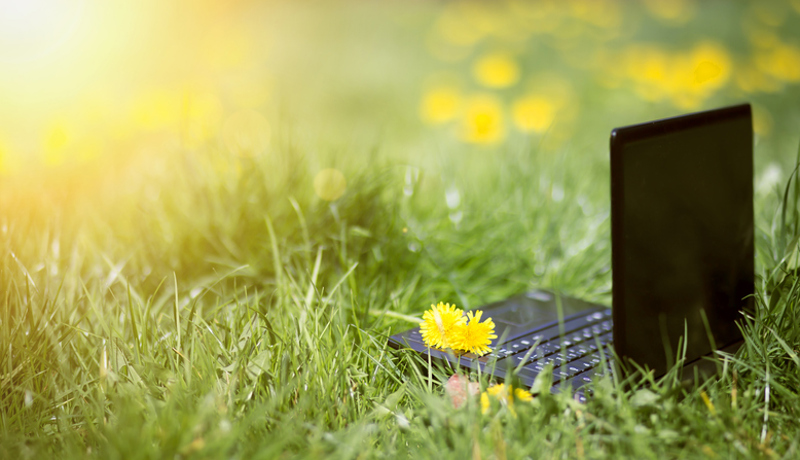 Laptop Auf Wiese Istock 1149087729