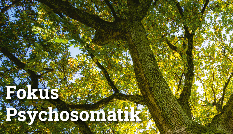 Fokus Psychosomatik4