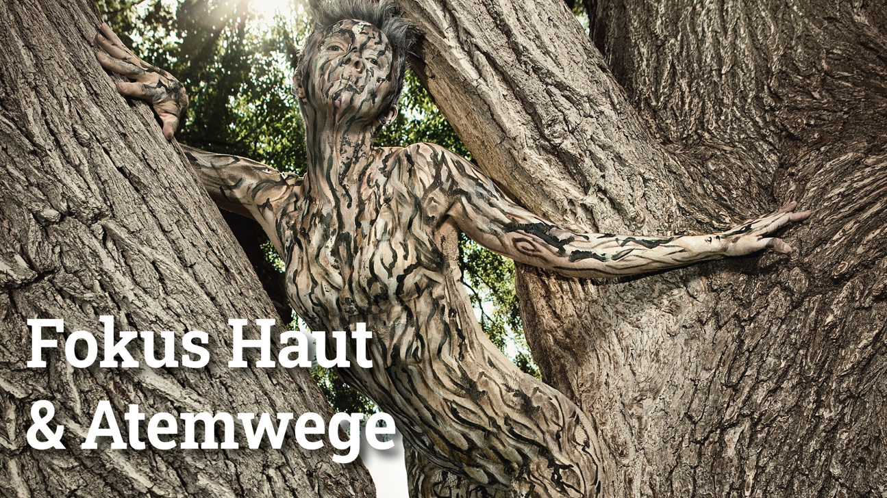 Fokus Hautatemwege2