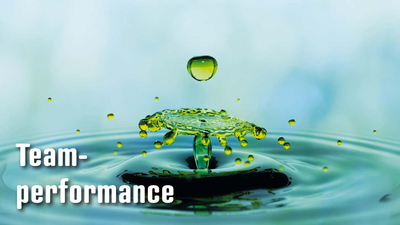 Dossier Teamperformance2