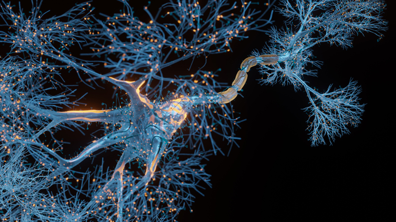 Neuronenzellen