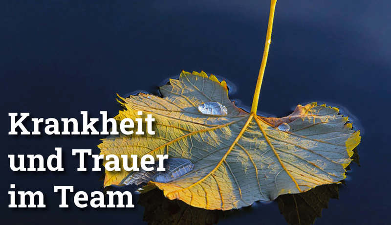 Fokus Krankheittrauer4