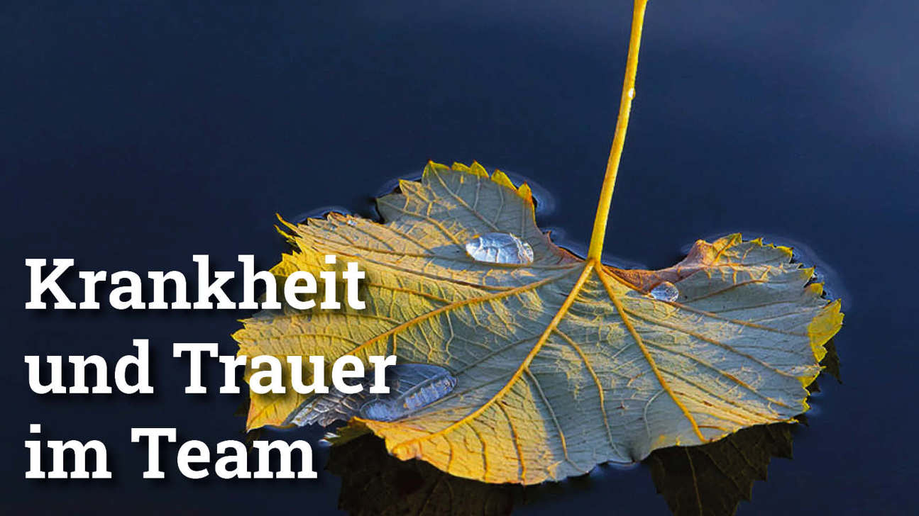 Fokus Krankheittrauer4