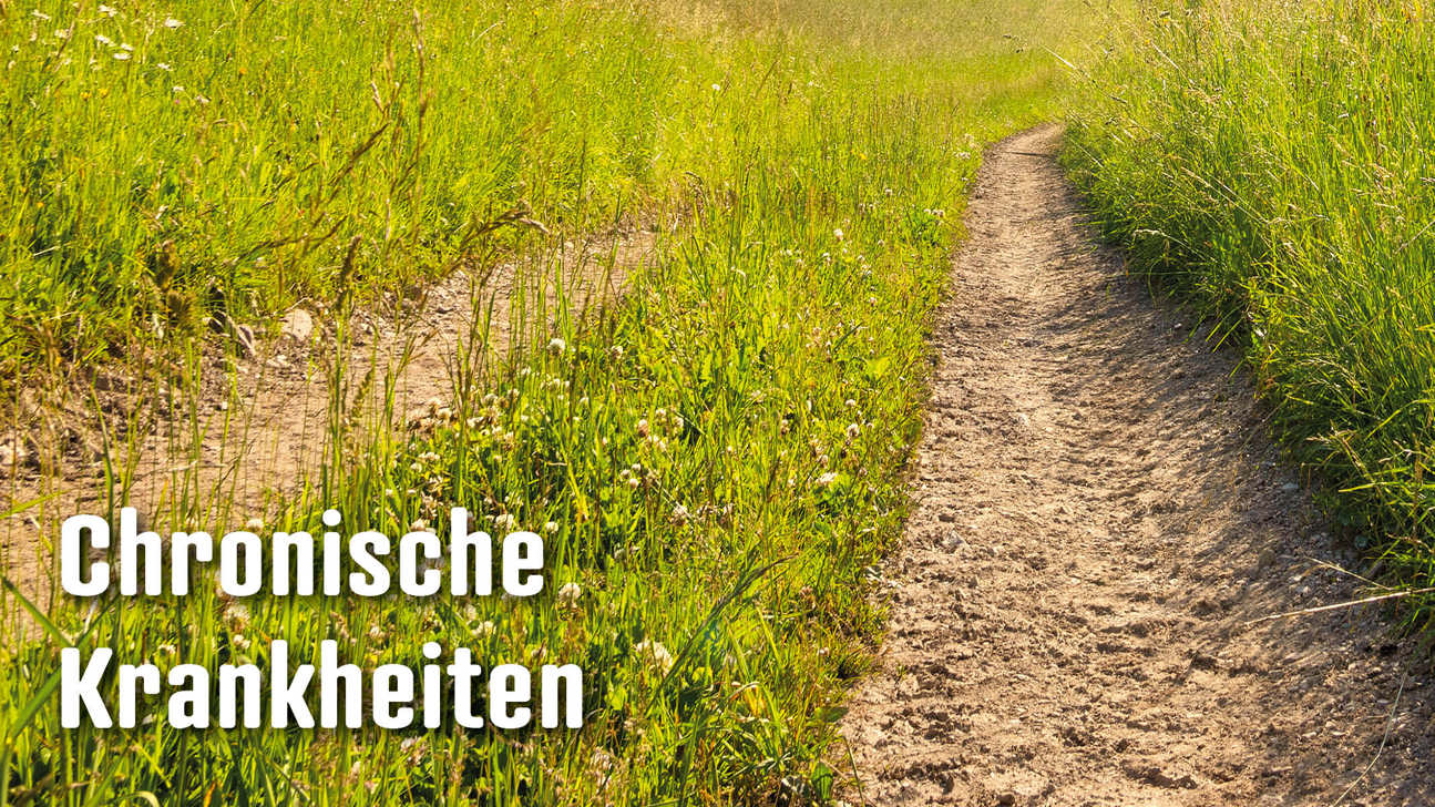 Dossier Chronischekrankheiten4
