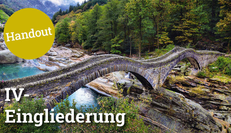 Fokus Iveingliederung5