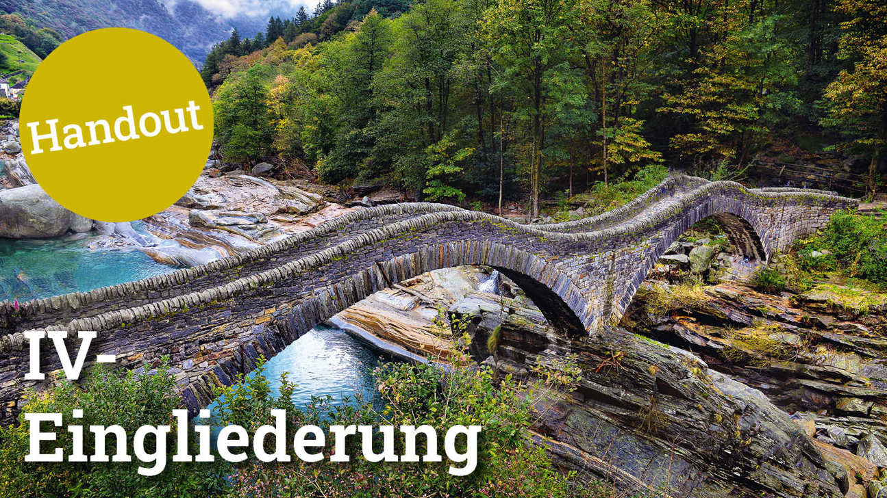 Fokus Iveingliederung5