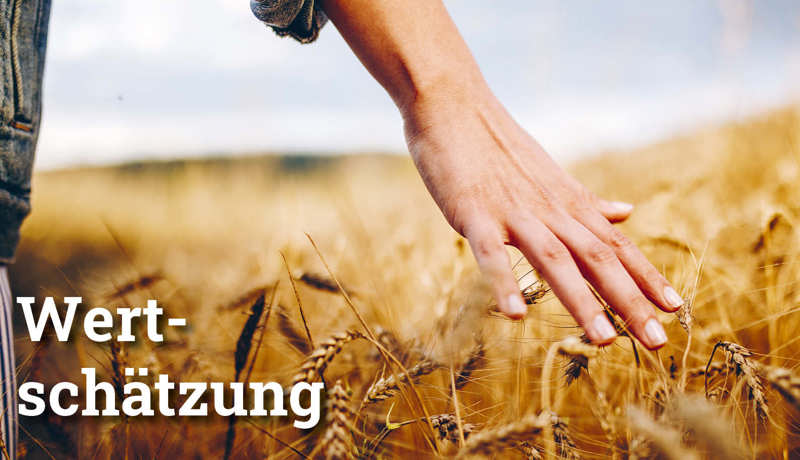 Fokus Wertschätzung3
