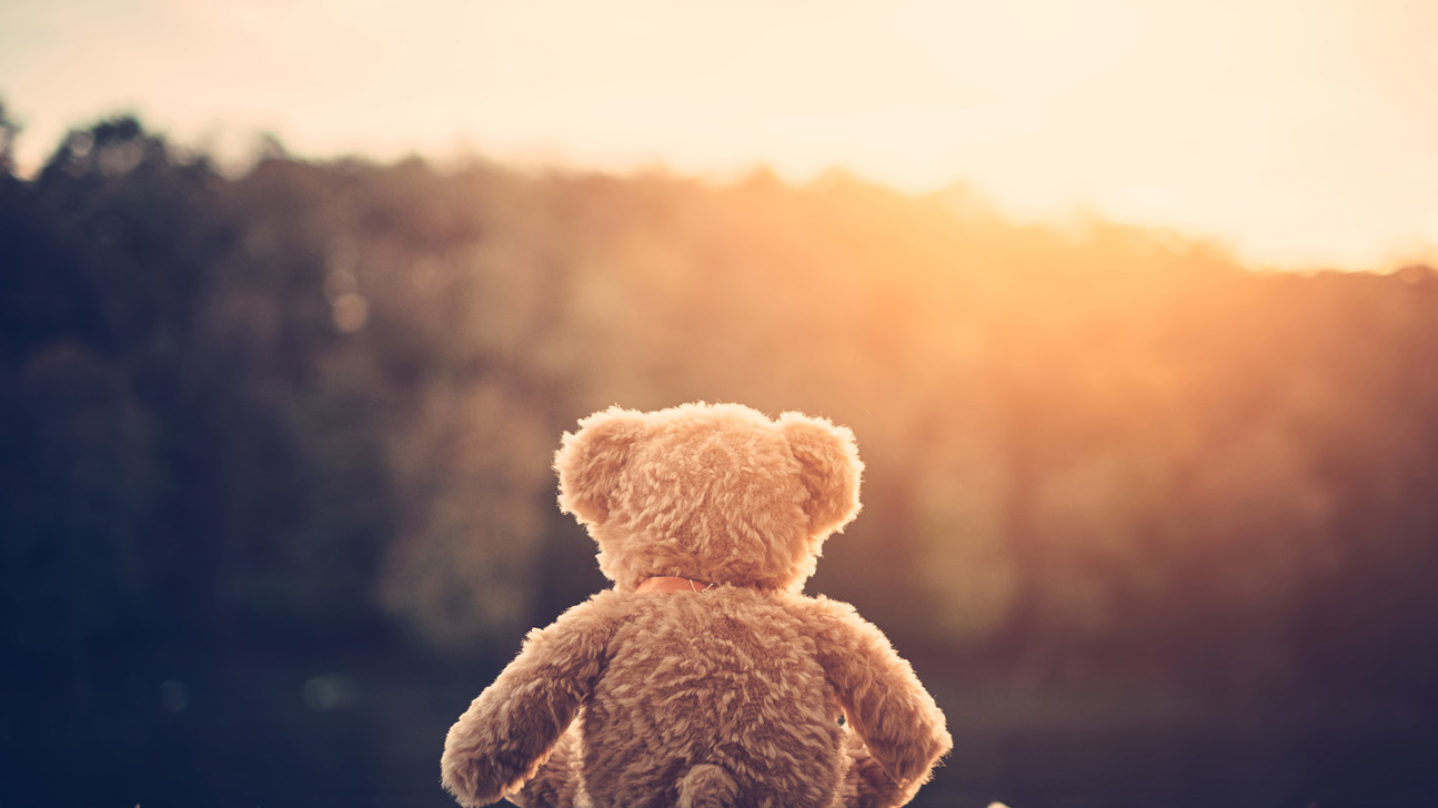 Teddy Traurig Einsam Sonnenuntergang Istock 524509569 Web
