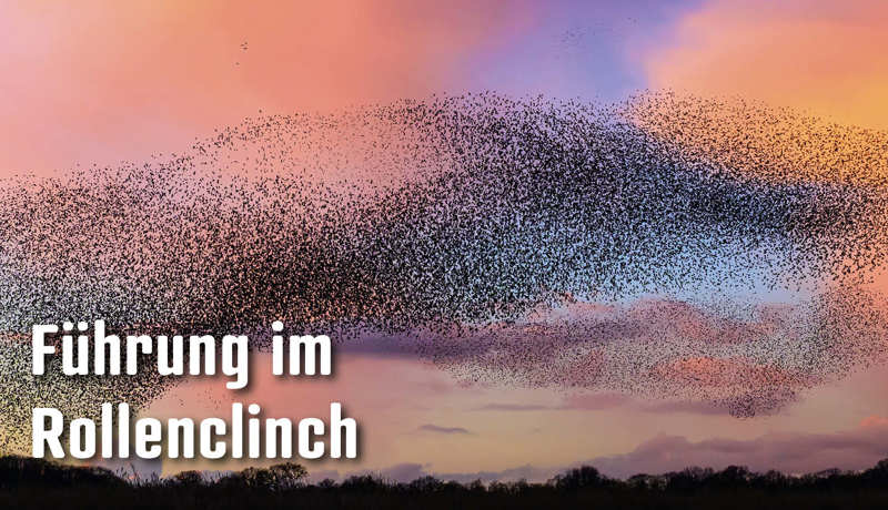 Dossier Führungimrollenclinch3