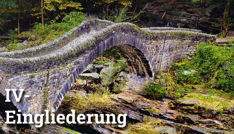 Fokus Iveingliederung4