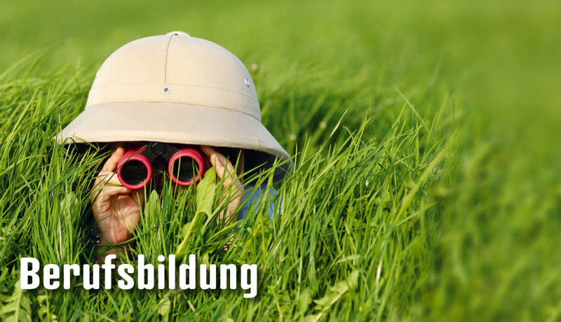 Dossier Berufsbildung5