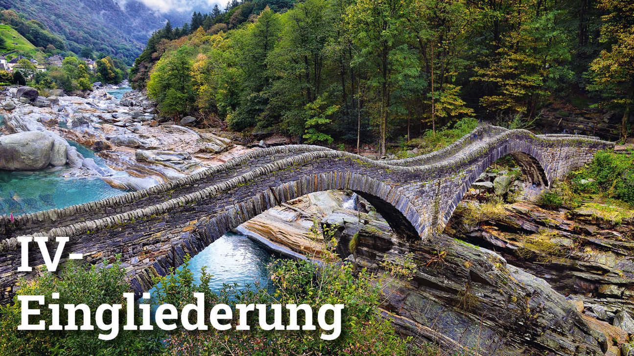 Fokus Iveingliederung2