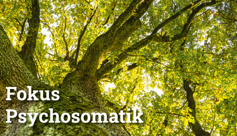 Fokus Psychosomatik5