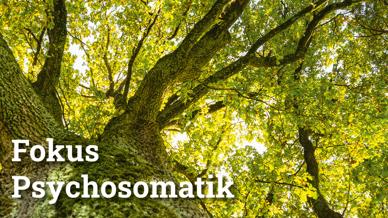 Fokus Psychosomatik5