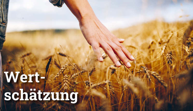 Fokus Wertschätzung2