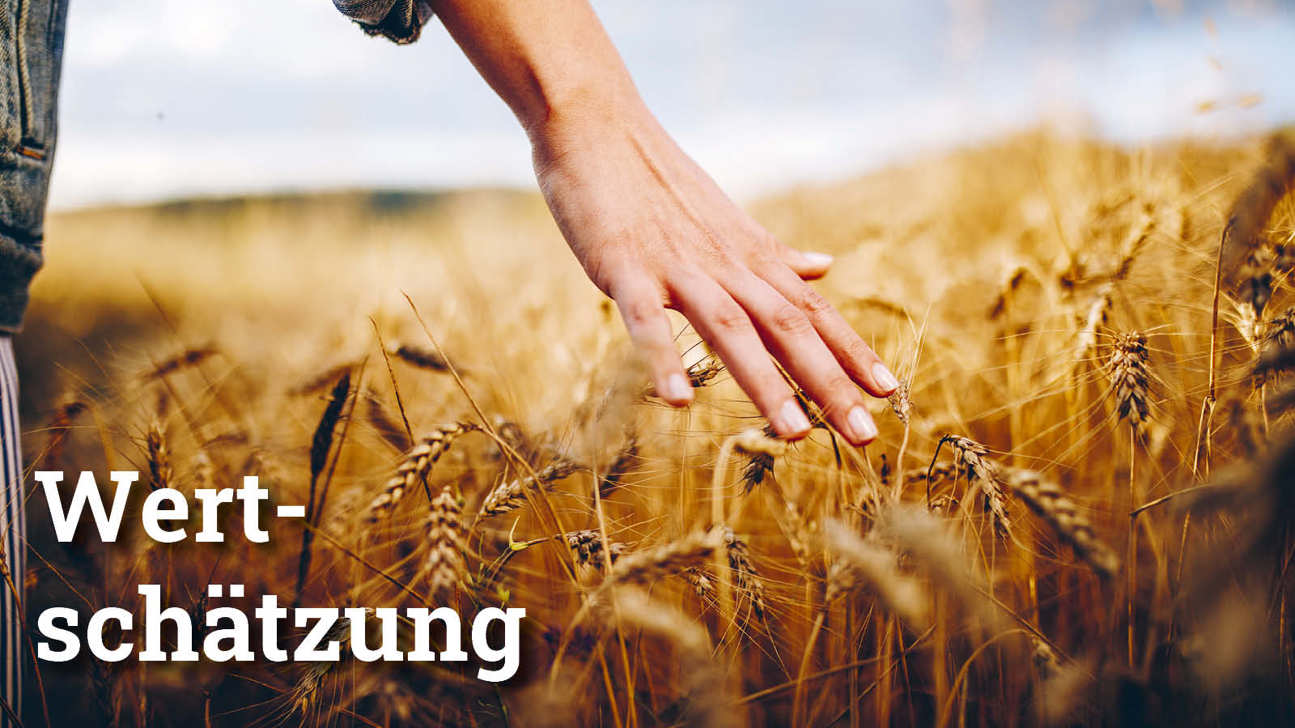Fokus Wertschätzung2
