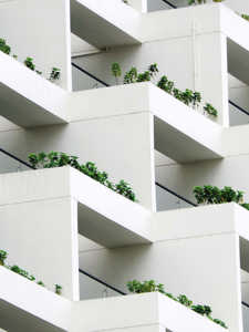 Lernende Organisation