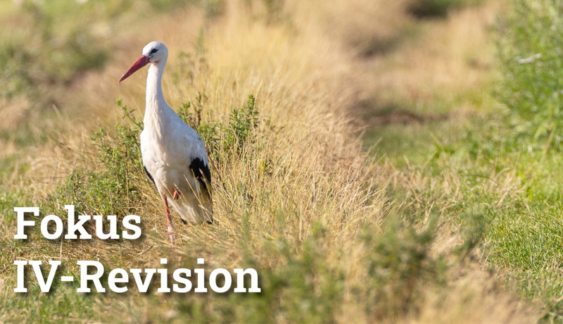 Fokus Ivrevision4