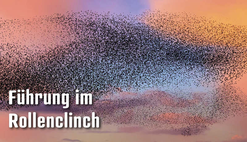 Dossier Führungimrollenclinch4
