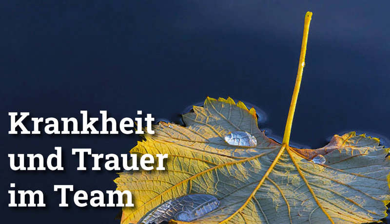 Fokus Krankheittrauer3
