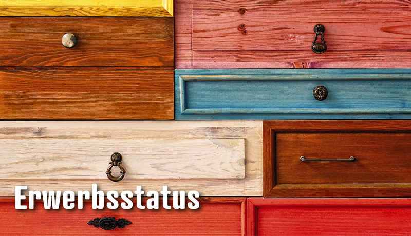 Dossier Erwerbsstatus4
