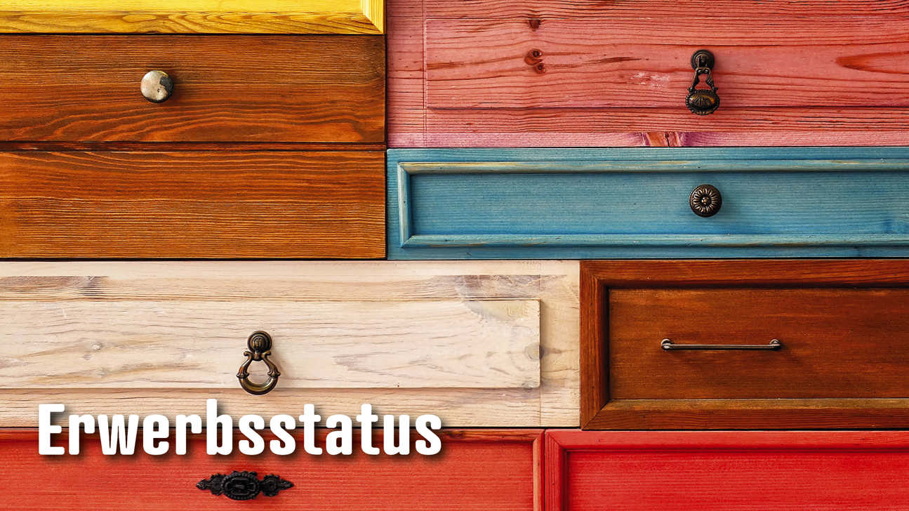 Dossier Erwerbsstatus4