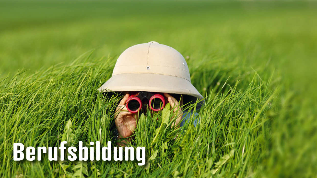 Dossier Berufsbildung6