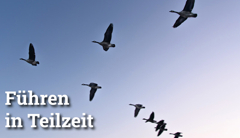 Fokus Führeninteilzeit3