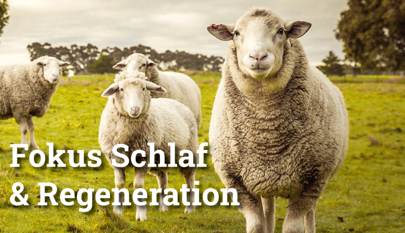 Fokus Schlafregeneration5