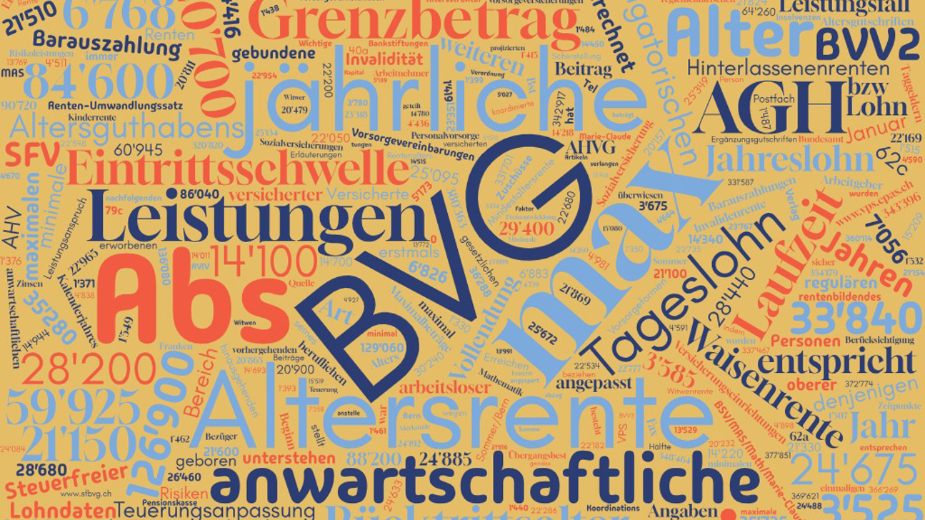 BVG Masszahlen Wortwolke